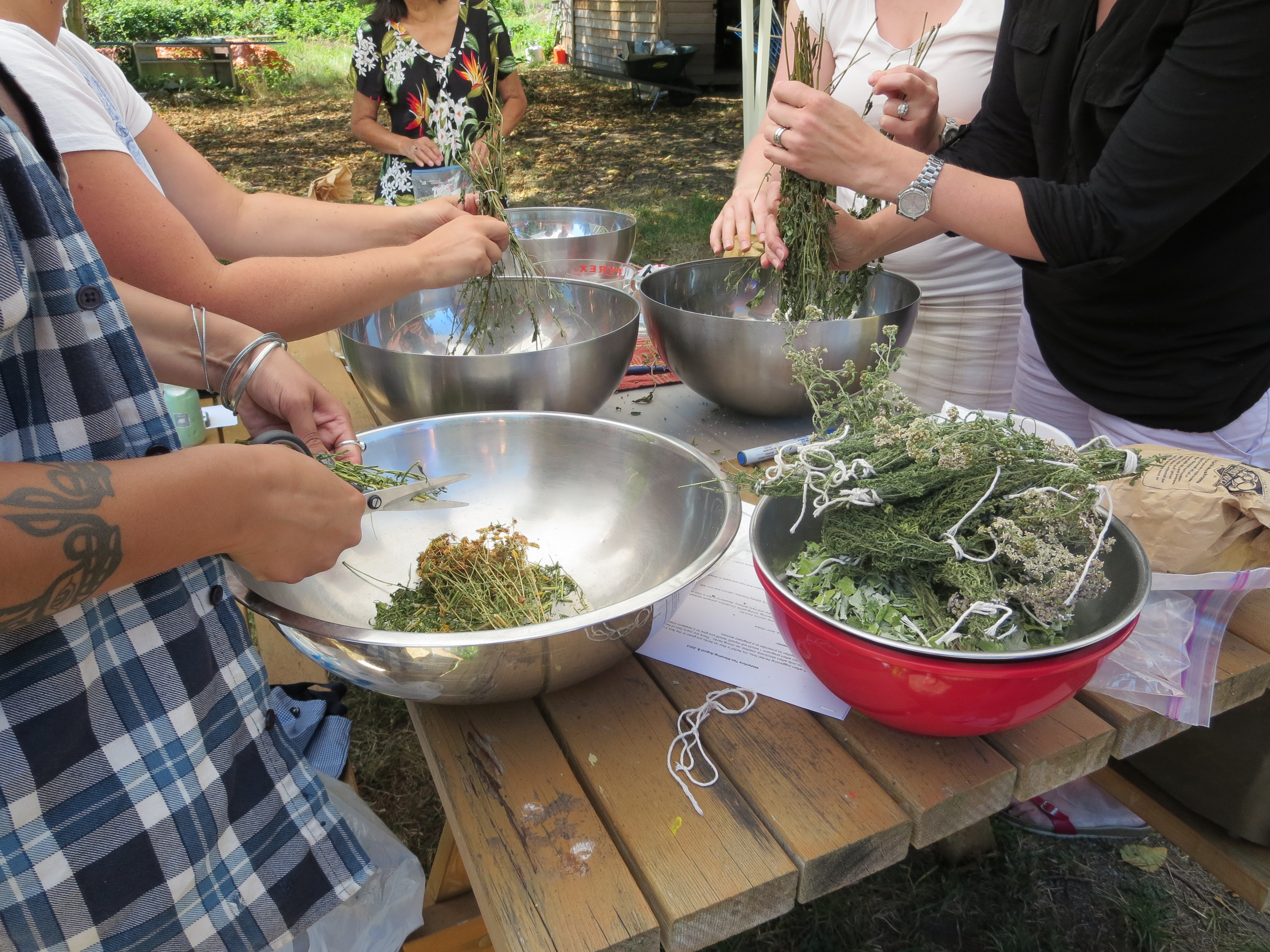 UBC Midwifery students and community members blend dried medicine plants from the Indigenous Health Garden for tea in a workshop.