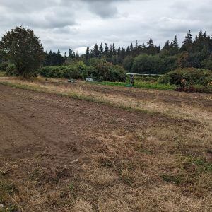 Dry crops at the UBC Farm