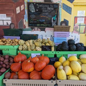 UBC farmers' market stand selling squash