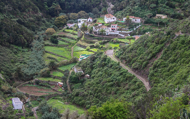 A photo from above a hillside on Tenerife showing a terraced farm with several small fields at different levels cut into the hillside, several buildings and houses at the top of the fields, and a road cut into the hillside above the farm.